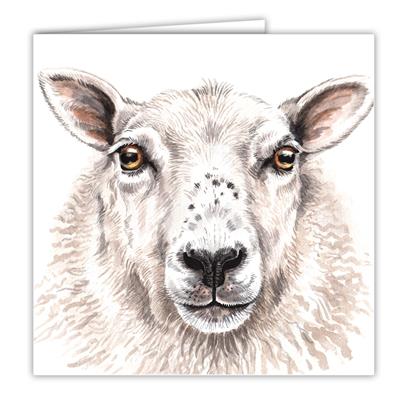 Sheep Greetings Card by WaggyDogz